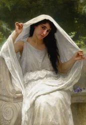De sluier