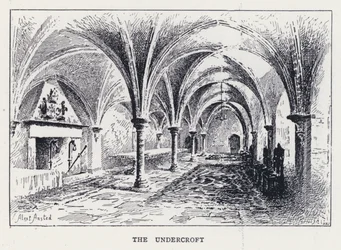 De Onderbouw