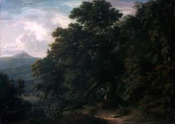 Uitzicht op Powerscourt Demesne