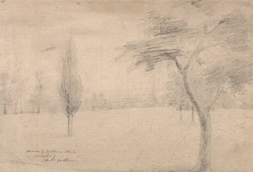 Landschap met Torenspits