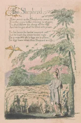 Songs of Innocence and of Experience, Plaat 4, "De Herder" (Bentley 5)