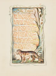 Liederen van onschuld en ervaring: De tijger, ca. 1825
