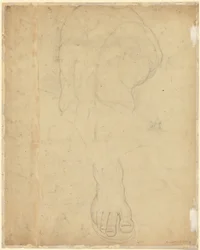 De Belvedere Torso [verso]