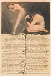 Het Eerste Boek van Urizen, Plaat 17, "Ze noemden haar Medelijden en vluchtten..." (Bentley 19)