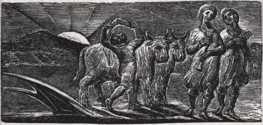 Met Liederen keren de Vrolijke Knechten Terug van de Ploeg, illustratie uit Dr. Thornton