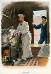 Scheepskok