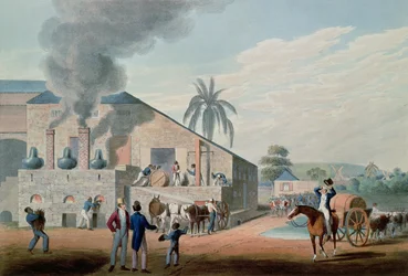 Slaven aan het werk bij de productie van rum in de distilleerderij, Antigua
