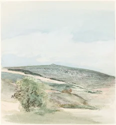Een heide in Sussex