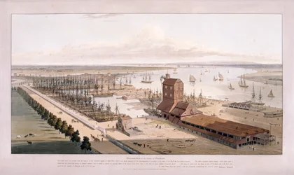 Brunswick Dock, en East India Dock, Poplar, Londen, 1803
