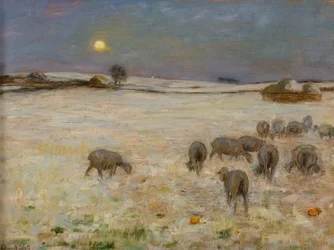 Schapen in de sneeuw