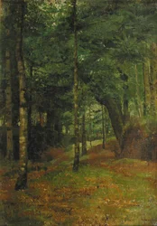 Studie van zonlicht door de bomen, Concarneau