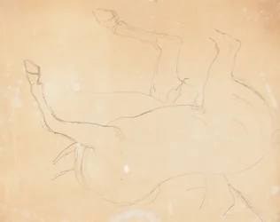 Studie van een Paard (verso)