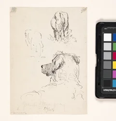 Hond (Recto), Hond En Koe (Verso)