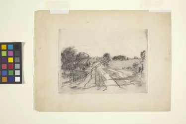 Landschap Met Stroom