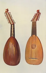 Muziekinstrumenten: Luit (kleurenlitho)
