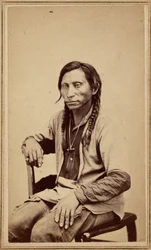 Grijze wolf,jaren 1860 (foto)