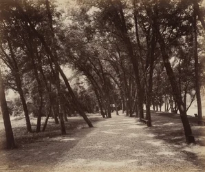 Picknickplaats