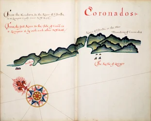 Coronados