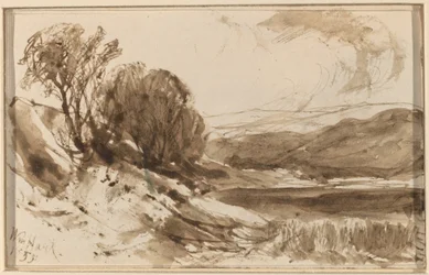 Heuvelachtig Landschap met Bomen