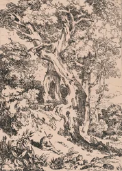 Studie van bomen en struiken met zittende mannelijke figuur