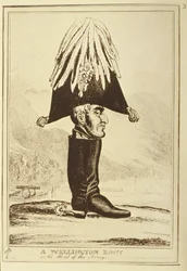 Een Wellington-laars, of Het hoofd van het leger, 1827
