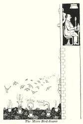 De micro-vogelverschrikker