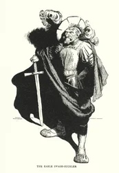 De graaf swash-buckler