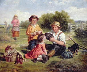 Hooiweide