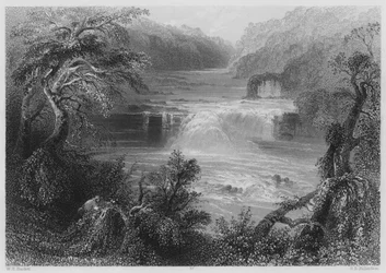 Zalmensprong bij Leixlip (gravure)