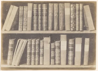 Een Scène in een Bibliotheek, plaat VIII uit de Pencil of Nature