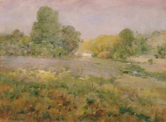 Veld van Veelkleurige Grassen in de Late Zomer in de Virginia Heuvels