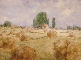 Veld van tarwe schok