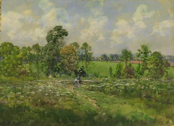 Bloemrijke weide