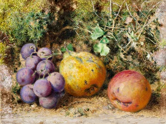 Zwarte Druiven, Kweepeer en Newtown Pippin, 1861
