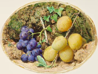 Gouden druppelpruimen en zwarte druiven, ca. 1860