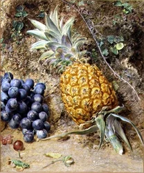 Druiven en een ananas