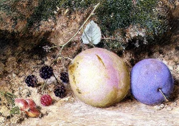 Rozenbottels, bramen en pruimen