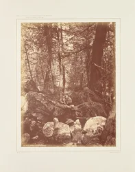 Het pad in het bos, Gallatin Cañon