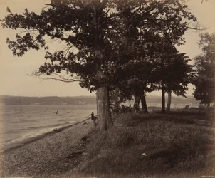 Cayuga Lake, Sheldrake,c. 1895 (foto)