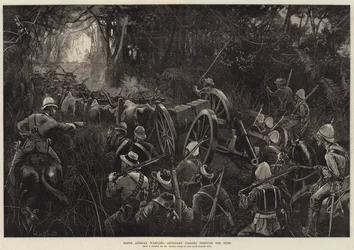 Zuid-Afrikaanse Oorlog, Artillerie die door de Bush trekt