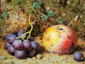 Appels en Druiven