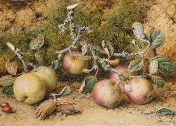Stilleven met Appels, Hazelnoten en Rozenbottels