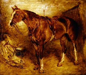 Een paard in de stal