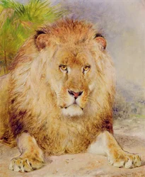 Leeuw