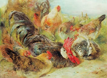 Gevogelte