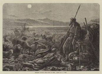 Herders die 