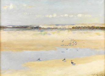 Kieviten bij de zee