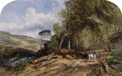 Hout slepen