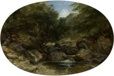 Rotsachtige stroom bij Lynmouth