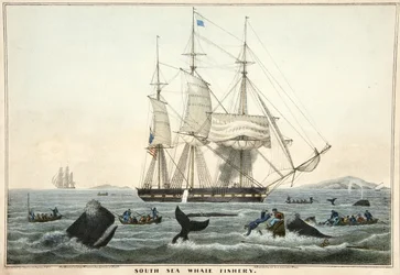 Zuidzee Walvisvangst, uitgegeven 1825